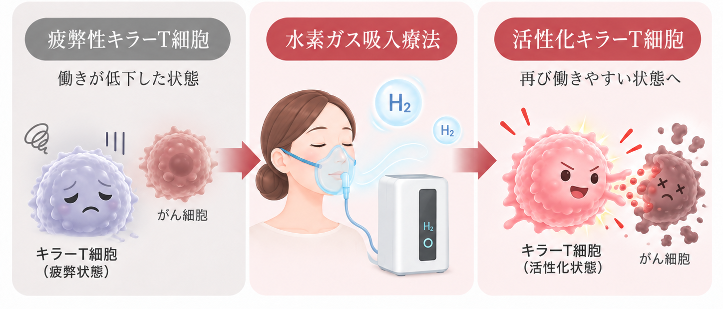 疲弊性キラーT細胞から水素ガス吸入療法を経て活性化キラーT細胞への回復を目指す流れを示す模式図
