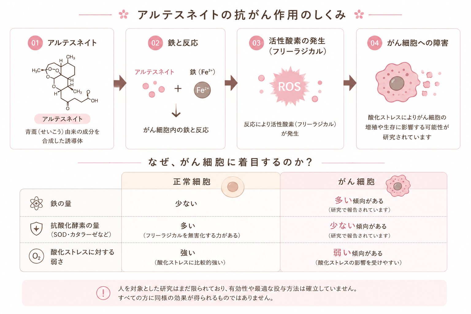 アルテスネイトが鉄と反応して活性酸素を生じ、がん細胞への障害につながる可能性について示した作用機序図